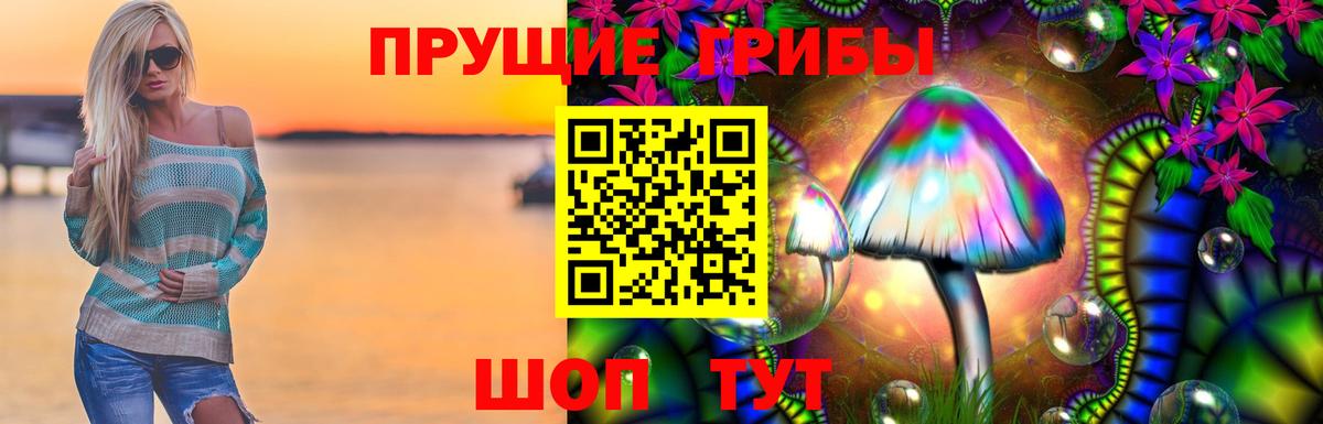 Псилоцибиновые грибы ЛСД  Вход с VPN  Гагарин  Псилоцибиновые грибы Psilocybine cubensis 